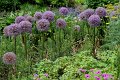 (24) 2010 Parc floral Apremont sur Allier